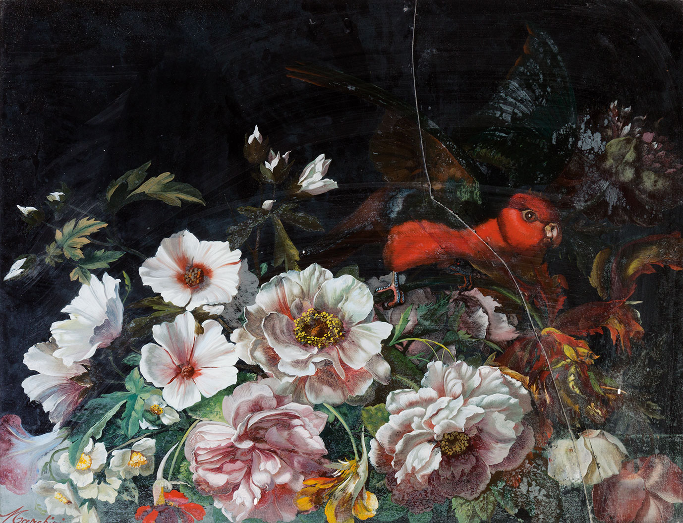 Rose, anemoni e altri fiori con pappagallo (difetti)